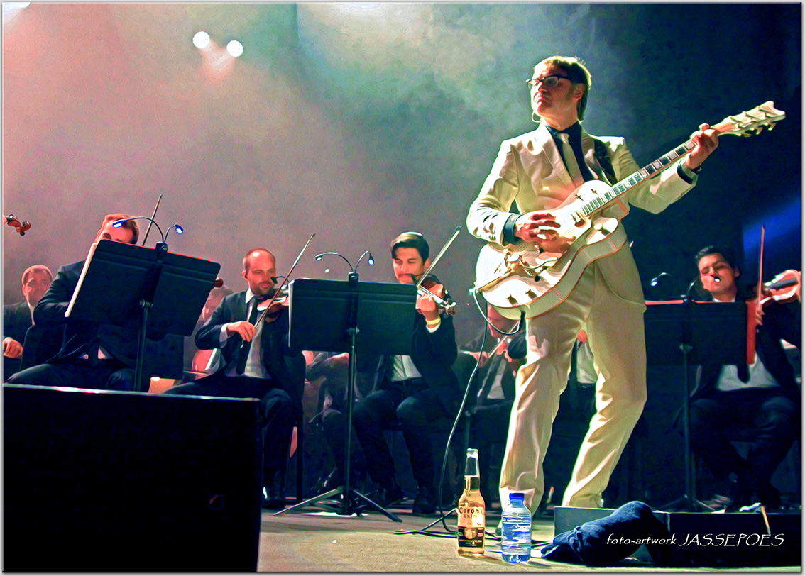 Hooverphonic & Orchestra 2013-Raymond Geerts  JASSEPOES